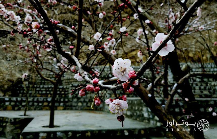 جاهای دیدنی اطراف اصفهان در بهار